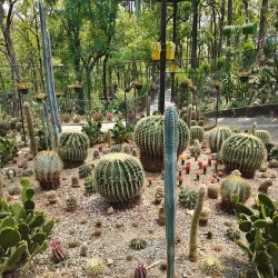 Malsi Deer Park - Dehradun