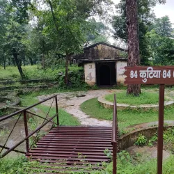 Rajaji National Park - Dehradun