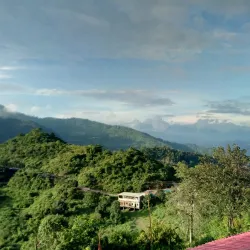 Rajaji National Park - Dehradun