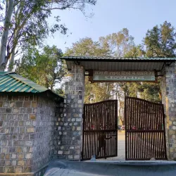 Rajaji National Park - Dehradun