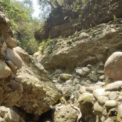 Robber's Cave (Guchhupani) - Dehradun