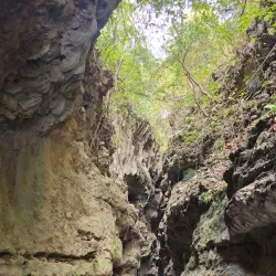 Robber's Cave (Guchhupani) - Dehradun