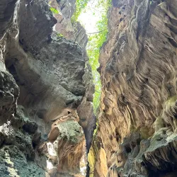 Robber's Cave (Guchhupani) - Dehradun