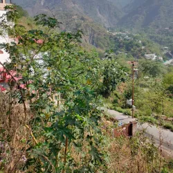 Shikhar Falls - Dehradun