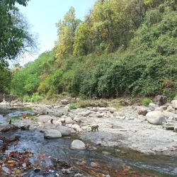 Tapkeshwar Temple - Dehradun