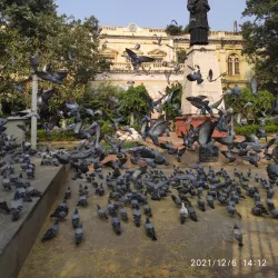 Chandni Chowk - Delhi