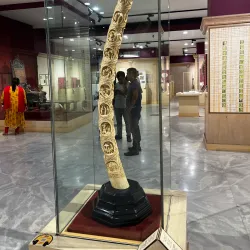 National Museum, New Delhi - Delhi