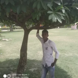 Deoria Public Park - Deoria