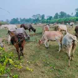 Nearby Village Tours - Deoria