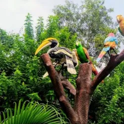 Birsa Munda Park - Dhanbad