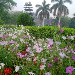Tata Park - Dhanbad
