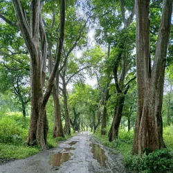 Topchanchi Lake and Park - Dhanbad
