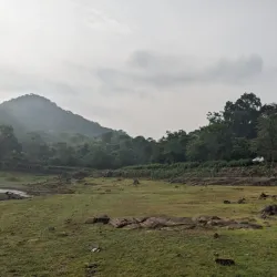 Topchanchi Lake and Park - Dhanbad