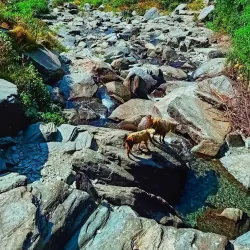 Bhagsu Waterfall - Dharamsala