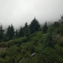 Bhagsu Waterfall - Dharamsala