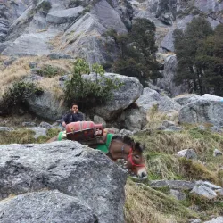 Triund Hill - Dharamsala