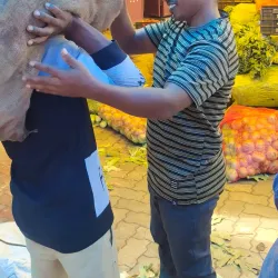 Dindigul Market - Dindigul