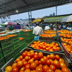 Dindigul Market - Dindigul