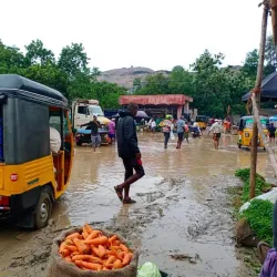 Dindigul Market - Dindigul