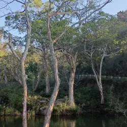 Sirumalai Hills - Dindigul