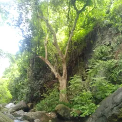 Sirumalai Hills - Dindigul