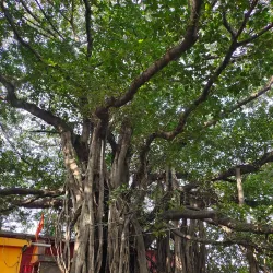 Bhabani Pathak's Temple - Durgapur