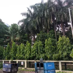 City Centre Durgapur - Durgapur