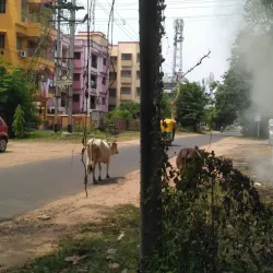 City Centre Durgapur - Durgapur