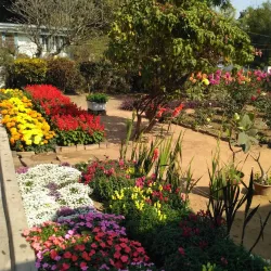 Durgapur Golf Club - Durgapur