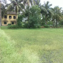 Rupnarayan River - Durgapur