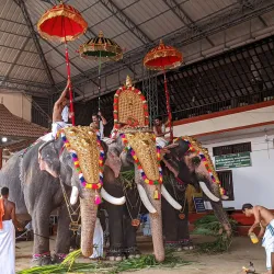 Ernakulam Shiva Temple - Ernakulam