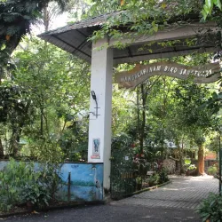 Mangalavanam Bird Sanctuary - Ernakulam