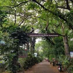 Mangalavanam Bird Sanctuary - Ernakulam