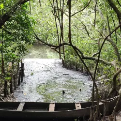 Mangalavanam Bird Sanctuary - Ernakulam