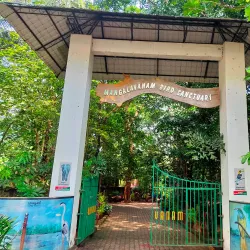 Mangalavanam Bird Sanctuary - Ernakulam