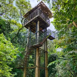 Mangalavanam Bird Sanctuary - Ernakulam