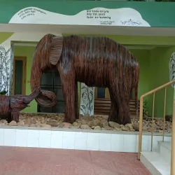 Mangalavanam Bird Sanctuary - Ernakulam