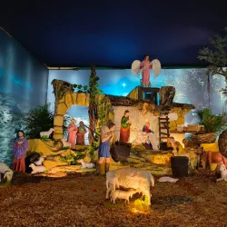 St. Francis Church - Ernakulam