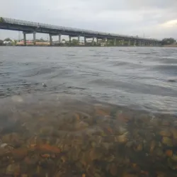 Kaveri River - Erode