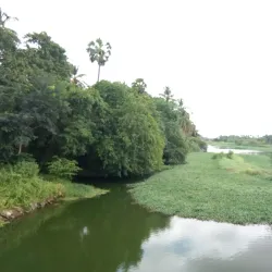 Kodiveri Dam - Erode