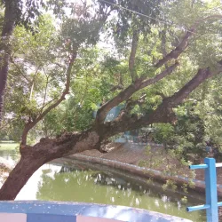 Kodiveri Dam - Erode