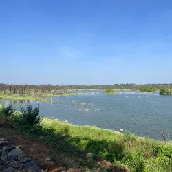 Vellode Bird Sanctuary - Erode
