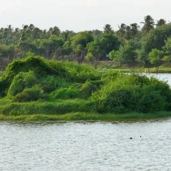 Vellode Bird Sanctuary - Erode
