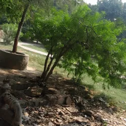 Baba Farid Temple - Faridabad