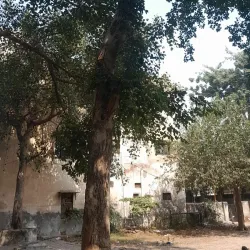 Baba Farid Temple - Faridabad