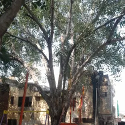 Baba Farid Temple - Faridabad