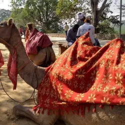 Badkhal Lake - Faridabad