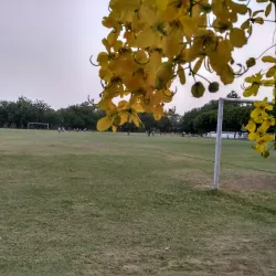 Nahar Singh Stadium - Faridabad