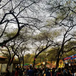 Surajkund Mela - Faridabad