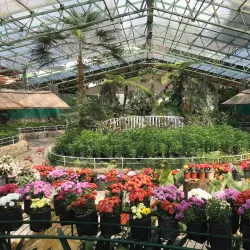 Flower Exhibition Centre - Gangtok (Sikkim)